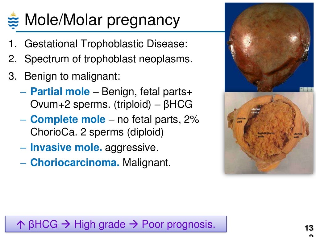 pathology meaning pathology meaning