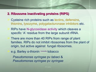 2. Ribosome inactivating proteins (RIPS)2. Ribosome inactivating proteins (RIPS)
 Cysteine rich proteins such as lectins, defensins,
thionins, lysozyme, polygalacturonase inhibitors etc.
 RIPs have N-glycosidase activity which cleaves a
specific ‘A’ residue from the large subunit rRNA.
 There are more than 40 RIPs from range of plant
families. RIPs do not inhibit ribosomes from the plant of
origin, but active against fungal ribosomes.
 e.g. Barley α-thionin tobacco
Pseudomonas syringae pv tabaci &
Pseudomonas syringae pv syringae
S S Jena
 