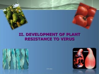 II. DEVELOPMENT OF PLANTII. DEVELOPMENT OF PLANT
RESISTANCE TO VIRUSRESISTANCE TO VIRUS
S S Jena
 