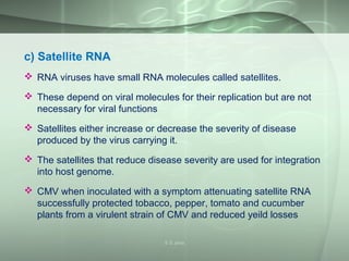 c) Satellite RNA
 RNA viruses have small RNA molecules called satellites.
 These depend on viral molecules for their replication but are not
necessary for viral functions
 Satellites either increase or decrease the severity of disease
produced by the virus carrying it.
 The satellites that reduce disease severity are used for integration
into host genome.
 CMV when inoculated with a symptom attenuating satellite RNA
successfully protected tobacco, pepper, tomato and cucumber
plants from a virulent strain of CMV and reduced yeild losses
S S Jena
 