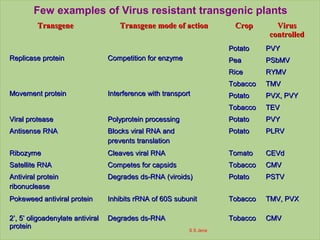 TransgeneTransgene Transgene mode of actionTransgene mode of action CropCrop VirusVirus
controlledcontrolled
Replicase proteinReplicase protein Competition for enzymeCompetition for enzyme
PotatoPotato PVYPVY
PeaPea PSbMVPSbMV
RiceRice RYMVRYMV
Movement proteinMovement protein Interference with transportInterference with transport
TobaccoTobacco TMVTMV
PotatoPotato PVX, PVYPVX, PVY
TobaccoTobacco TEVTEV
Viral proteaseViral protease Polyprotein processingPolyprotein processing PotatoPotato PVYPVY
Antisense RNAAntisense RNA Blocks viral RNA andBlocks viral RNA and
prevents translationprevents translation
PotatoPotato PLRVPLRV
RibozymeRibozyme Cleaves viral RNACleaves viral RNA TomatoTomato CEVdCEVd
Satellite RNASatellite RNA Competes for capsidsCompetes for capsids TobaccoTobacco CMVCMV
Antiviral proteinAntiviral protein
ribonucleaseribonuclease
Degrades ds-RNA (viroids)Degrades ds-RNA (viroids) PotatoPotato PSTVPSTV
Pokeweed antiviral proteinPokeweed antiviral protein Inhibits rRNA of 60S subunitInhibits rRNA of 60S subunit TobaccoTobacco TMV, PVXTMV, PVX
2’, 5’ oligoadenylate antiviral2’, 5’ oligoadenylate antiviral
proteinprotein
Degrades ds-RNADegrades ds-RNA TobaccoTobacco CMVCMV
Few examples of Virus resistant transgenic plants
S S Jena
 