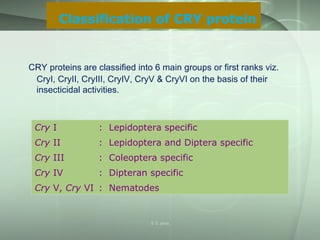 Classification of CRY protein
CRY proteins are classified into 6 main groups or first ranks viz.
CryI, CryII, CryIII, CryIV, CryV & CryVI on the basis of their
insecticidal activities.
Cry I : Lepidoptera specific
Cry II : Lepidoptera and Diptera specific
Cry III : Coleoptera specific
Cry IV : Dipteran specific
Cry V, Cry VI : Nematodes
S S Jena
 