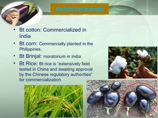 • Bt cotton: Commercialized in
India
• Bt corn: Commercially planted in the
Philippines.
• Bt Brinjal: moratorium in India
• Bt Rice: Bt rice is “extensively field
tested in China and awaiting approval
by the Chinese regulatory authorities”
for commercialization.
Achievements
S S Jena
 
