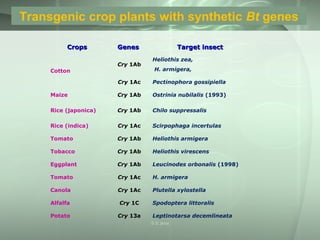 CropsCrops GenesGenes Target insectTarget insect
Cotton
Cry 1Ab
Heliothis zea,
H. armigera,
Cry 1Ac Pectinophora gossipiella
Maize Cry 1Ab Ostrinia nubilalis (1993)
Rice (japonica) Cry 1Ab Chilo suppressalis
Rice (indica) Cry 1Ac Scirpophaga incertulas
Tomato Cry 1Ab Heliothis armigera
Tobacco Cry 1Ab Heliothis virescens
Eggplant Cry 1Ab Leucinodes orbonalis (1998)
Tomato Cry 1Ac H. armigera
Canola Cry 1Ac Plutella xylostella
Alfalfa Cry 1C Spodoptera littoralis
Potato Cry 13a Leptinotarsa decemlineata
Transgenic crop plants with synthetic Bt genes
S S Jena
 