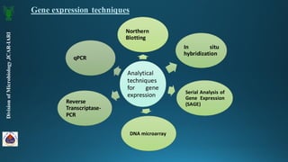 Gene Expression Analysis Methods for Organism understanding | PDF