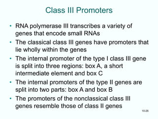 MB(5) Chapter_10 Eucaryotic RNA polymerase.ppt