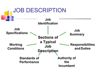 JOB DESCRIPTION
Job
Identification
Job
Summary
Responsibilities
and Duties
Authority of
the
Incumbent
Standards of
Performance
Working
Conditions
Job
Specifications
Sections of
a Typical
Job
Description
 