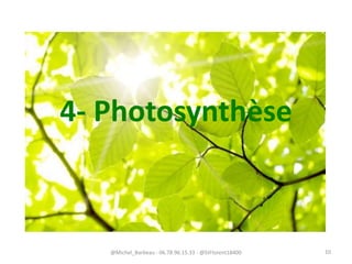 4- Photosynthèse
@Michel_Barbeau - 06.78.96.15.33 - @StFlorent18400 10
 