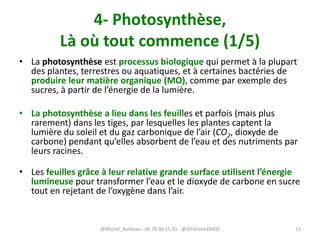 4- Photosynthèse,
Là où tout commence (1/5)
• La photosynthèse est processus biologique qui permet à la plupart
des plantes, terrestres ou aquatiques, et à certaines bactéries de
produire leur matière organique (MO), comme par exemple des
sucres, à partir de l’énergie de la lumière.
• La photosynthèse a lieu dans les feuilles et parfois (mais plus
rarement) dans les tiges, par lesquelles les plantes captent la
lumière du soleil et du gaz carbonique de l’air (CO2, dioxyde de
carbone) pendant qu’elles absorbent de l’eau et des nutriments par
leurs racines.
• Les feuilles grâce à leur relative grande surface utilisent l’énergie
lumineuse pour transformer l’eau et le dioxyde de carbone en sucre
tout en rejetant de l’oxygène dans l’air.
@Michel_Barbeau - 06.78.96.15.33 - @StFlorent18400 11
 