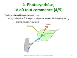4- Photosynthèse,
Là où tout commence (4/5)
En phase photochimique, l’équation est :
12 H2O + lumière  énergie chimique (24 atomes d’hydrogène) + 6 O2
@Michel_Barbeau - 06.78.96.15.33 - @StFlorent18400 14
 