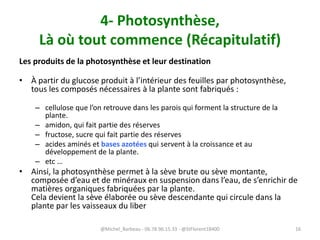 4- Photosynthèse,
Là où tout commence (Récapitulatif)
Les produits de la photosynthèse et leur destination
• À partir du glucose produit à l’intérieur des feuilles par photosynthèse,
tous les composés nécessaires à la plante sont fabriqués :
– cellulose que l’on retrouve dans les parois qui forment la structure de la
plante.
– amidon, qui fait partie des réserves
– fructose, sucre qui fait partie des réserves
– acides aminés et bases azotées qui servent à la croissance et au
développement de la plante.
– etc …
• Ainsi, la photosynthèse permet à la sève brute ou sève montante,
composée d’eau et de minéraux en suspension dans l’eau, de s’enrichir de
matières organiques fabriquées par la plante.
Cela devient la sève élaborée ou sève descendante qui circule dans la
plante par les vaisseaux du liber
@Michel_Barbeau - 06.78.96.15.33 - @StFlorent18400 16
 