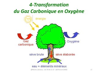 4-Transformation
du Gaz Carbonique en Oxygène
@Michel_Barbeau - 06.78.96.15.33 - @StFlorent18400 17
 