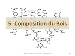 5- Composition du Bois
@Michel_Barbeau - 06.78.96.15.33 - @StFlorent18400 19
 