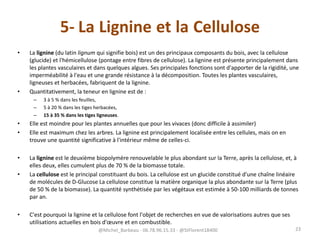 5- La Lignine et la Cellulose
• La lignine (du latin lignum qui signifie bois) est un des principaux composants du bois, avec la cellulose
(glucide) et l'hémicellulose (pontage entre fibres de cellulose). La lignine est présente principalement dans
les plantes vasculaires et dans quelques algues. Ses principales fonctions sont d'apporter de la rigidité, une
imperméabilité à l'eau et une grande résistance à la décomposition. Toutes les plantes vasculaires,
ligneuses et herbacées, fabriquent de la lignine.
• Quantitativement, la teneur en lignine est de :
– 3 à 5 % dans les feuilles,
– 5 à 20 % dans les tiges herbacées,
– 15 à 35 % dans les tiges ligneuses.
• Elle est moindre pour les plantes annuelles que pour les vivaces (donc difficile à assimiler)
• Elle est maximum chez les arbres. La lignine est principalement localisée entre les cellules, mais on en
trouve une quantité significative à l'intérieur même de celles-ci.
• La lignine est le deuxième biopolymère renouvelable le plus abondant sur la Terre, après la cellulose, et, à
elles deux, elles cumulent plus de 70 % de la biomasse totale.
• La cellulose est le principal constituant du bois. La cellulose est un glucide constitué d'une chaîne linéaire
de molécules de D-Glucose La cellulose constitue la matière organique la plus abondante sur la Terre (plus
de 50 % de la biomasse). La quantité synthétisée par les végétaux est estimée à 50-100 milliards de tonnes
par an.
• C'est pourquoi la lignine et la cellulose font l'objet de recherches en vue de valorisations autres que ses
utilisations actuelles en bois d'œuvre et en combustible.
@Michel_Barbeau - 06.78.96.15.33 - @StFlorent18400 23
 