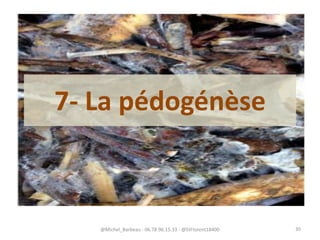 7- La pédogénèse
@Michel_Barbeau - 06.78.96.15.33 - @StFlorent18400 30
 