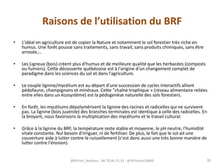 Raisons de l’utilisation du BRF
• L’idéal en agriculture est de copier la Nature et notamment le sol forestier très riche en
humus. Une forêt pousse sans traitements, sans travail, sans produits chimiques, sans être
arrosée,…
• Les Ligneux (bois) créent plus d'humus et de meilleure qualité que les herbacées (composts
ou fumiers). Cette découverte québécoise est à l'origine d'un changement complet de
paradigme dans les sciences du sol et dans l'agriculture.
• Le couple lignine/mycélium est au départ d'une succession de cycles interactifs alliant
pédofaune, champignons et minéraux. Cette "chaîne trophique » (réseau alimentaire reliées
entre elles dans un écosystème) est la pédogenèse naturelle des sols forestiers.
• En forêt, les mycéliums dépolymérisent la lignine des racines et radicelles qui ne survivent
pas. La lignine (bois juvénile) des branches terminales est identique à celle des radicelles. En
la broyant, nous favorisons la multiplication des mycéliums et le travail cultural.
• Grâce à la lignine du BRF, la température reste stable et moyenne, le pH neutre, l'humidité
vitale constante. Nul besoin d'irriguer, ni de fertiliser. De plus, le fait que le sol ait une
couverture aide à lutter contre le ruissellement (c'est donc aussi une très bonne manière de
lutter contre l'érosion).
@Michel_Barbeau - 06.78.96.15.33 - @StFlorent18400 38
 