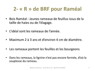 2- « R » de BRF pour Raméal
• Bois Raméal : Jeunes rameaux de feuillus issus de la
taille de haies ou de l’élagage.
• L’idéal sont les rameaux de l’année.
• Maximum 2 à 3 ans et d’environ 4 cm de diamètre.
• Les rameaux portent les feuilles et les bourgeons
• Dans les rameaux, la lignine n’est pas encore formée, d’où la
souplesse du rameau.
@Michel_Barbeau - 06.78.96.15.33 - @StFlorent18400 5
 