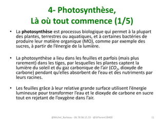 4- Photosynthèse,
Là où tout commence (1/5)
• La photosynthèse est processus biologique qui permet à la plupart
des plantes, terrestres ou aquatiques, et à certaines bactéries de
produire leur matière organique (MO), comme par exemple des
sucres, à partir de l’énergie de la lumière.
• La photosynthèse a lieu dans les feuilles et parfois (mais plus
rarement) dans les tiges, par lesquelles les plantes captent la
lumière du soleil et du gaz carbonique de l’air (CO2, dioxyde de
carbone) pendant qu’elles absorbent de l’eau et des nutriments par
leurs racines.
• Les feuilles grâce à leur relative grande surface utilisent l’énergie
lumineuse pour transformer l’eau et le dioxyde de carbone en sucre
tout en rejetant de l’oxygène dans l’air.
@Michel_Barbeau - 06.78.96.15.33 - @StFlorent18400 11
 