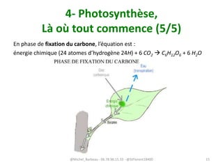 4- Photosynthèse,
Là où tout commence (5/5)
En phase de fixation du carbone, l’équation est :
énergie chimique (24 atomes d’hydrogène 24H) + 6 CO2  C6H12O6 + 6 H2O
@Michel_Barbeau - 06.78.96.15.33 - @StFlorent18400 15
 