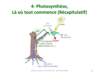 4- Photosynthèse,
Là où tout commence (Récapitulatif)
BRF
@Michel_Barbeau - 06.78.96.15.33 - @StFlorent18400 18
 