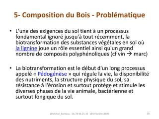 5- Composition du Bois - Problématique
• L'une des exigences du sol tient à un processus
fondamental ignoré jusqu'à tout récemment, la
biotransformation des substances végétales en sol où
la lignine joue un rôle essentiel ainsi qu'un grand
nombre de composés polyphénoliques (cf vin  marc)
• La biotransformation est le début d'un long processus
appelé « Pédogénèse » qui régule la vie, la disponibilité
des nutriments, la structure physique du sol, sa
résistance à l'érosion et surtout protège et stimule les
diverses phases de la vie animale, bactérienne et
surtout fongique du sol.
@Michel_Barbeau - 06.78.96.15.33 - @StFlorent18400 20
 