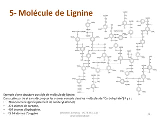 5- Molécule de Lignine
Exemple d’une structure possible de molécule de lignine.
Dans cette partie et sans décompter les atomes compris dans les molécules de "Carbohydrate") il y a :
• 28 monomères (principalement de coniferyl alcohol),
• 278 atomes de carbone,
• 407 atomes d’hydrogène,
• Et 94 atomes d’oxygène @Michel_Barbeau - 06.78.96.15.33 -
@StFlorent18400
24
 