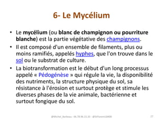6- Le Mycélium
• Le mycélium (ou blanc de champignon ou pourriture
blanche) est la partie végétative des champignons.
• Il est composé d'un ensemble de filaments, plus ou
moins ramifiés, appelés hyphes, que l'on trouve dans le
sol ou le substrat de culture.
• La biotransformation est le début d'un long processus
appelé « Pédogénèse » qui régule la vie, la disponibilité
des nutriments, la structure physique du sol, sa
résistance à l'érosion et surtout protège et stimule les
diverses phases de la vie animale, bactérienne et
surtout fongique du sol.
@Michel_Barbeau - 06.78.96.15.33 - @StFlorent18400 27
 
