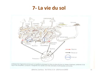 7- La vie du sol
@Michel_Barbeau - 06.78.96.15.33 - @StFlorent18400 31
 