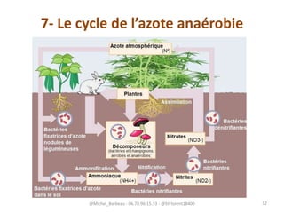 7- Le cycle de l’azote anaérobie
@Michel_Barbeau - 06.78.96.15.33 - @StFlorent18400 32
 