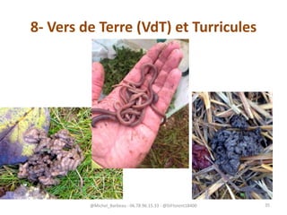 8- Vers de Terre (VdT) et Turricules
@Michel_Barbeau - 06.78.96.15.33 - @StFlorent18400 35
 