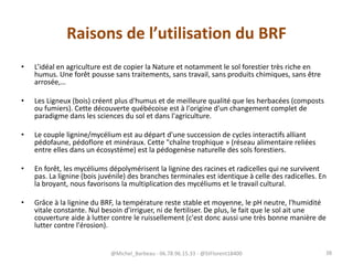 Raisons de l’utilisation du BRF
• L’idéal en agriculture est de copier la Nature et notamment le sol forestier très riche en
humus. Une forêt pousse sans traitements, sans travail, sans produits chimiques, sans être
arrosée,…
• Les Ligneux (bois) créent plus d'humus et de meilleure qualité que les herbacées (composts
ou fumiers). Cette découverte québécoise est à l'origine d'un changement complet de
paradigme dans les sciences du sol et dans l'agriculture.
• Le couple lignine/mycélium est au départ d'une succession de cycles interactifs alliant
pédofaune, pédoflore et minéraux. Cette "chaîne trophique » (réseau alimentaire reliées
entre elles dans un écosystème) est la pédogenèse naturelle des sols forestiers.
• En forêt, les mycéliums dépolymérisent la lignine des racines et radicelles qui ne survivent
pas. La lignine (bois juvénile) des branches terminales est identique à celle des radicelles. En
la broyant, nous favorisons la multiplication des mycéliums et le travail cultural.
• Grâce à la lignine du BRF, la température reste stable et moyenne, le pH neutre, l'humidité
vitale constante. Nul besoin d'irriguer, ni de fertiliser. De plus, le fait que le sol ait une
couverture aide à lutter contre le ruissellement (c'est donc aussi une très bonne manière de
lutter contre l'érosion).
@Michel_Barbeau - 06.78.96.15.33 - @StFlorent18400 38
 