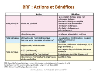BRF : Actions et Bénéfices
C E C : Capacité d’Echange Cationique : mesure chimique permettant d’approcher la capacité du sol à
fixer de façon réversible les cations échangeables (Ca++, Mg++, K+...). (Baize, 2004)
E T M : Elément Trace Métallique. Exemple : cuivre
@Michel_Barbeau - 06.78.96.15.33 - @StFlorent18400 40
 