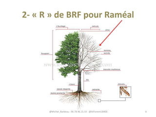 2- « R » de BRF pour Raméal
@Michel_Barbeau - 06.78.96.15.33 - @StFlorent18400 6
 