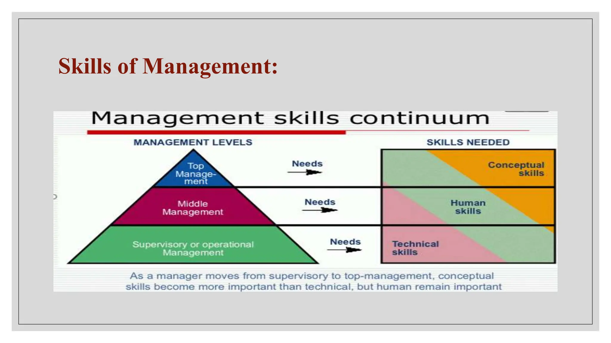 Skills of Management:
 