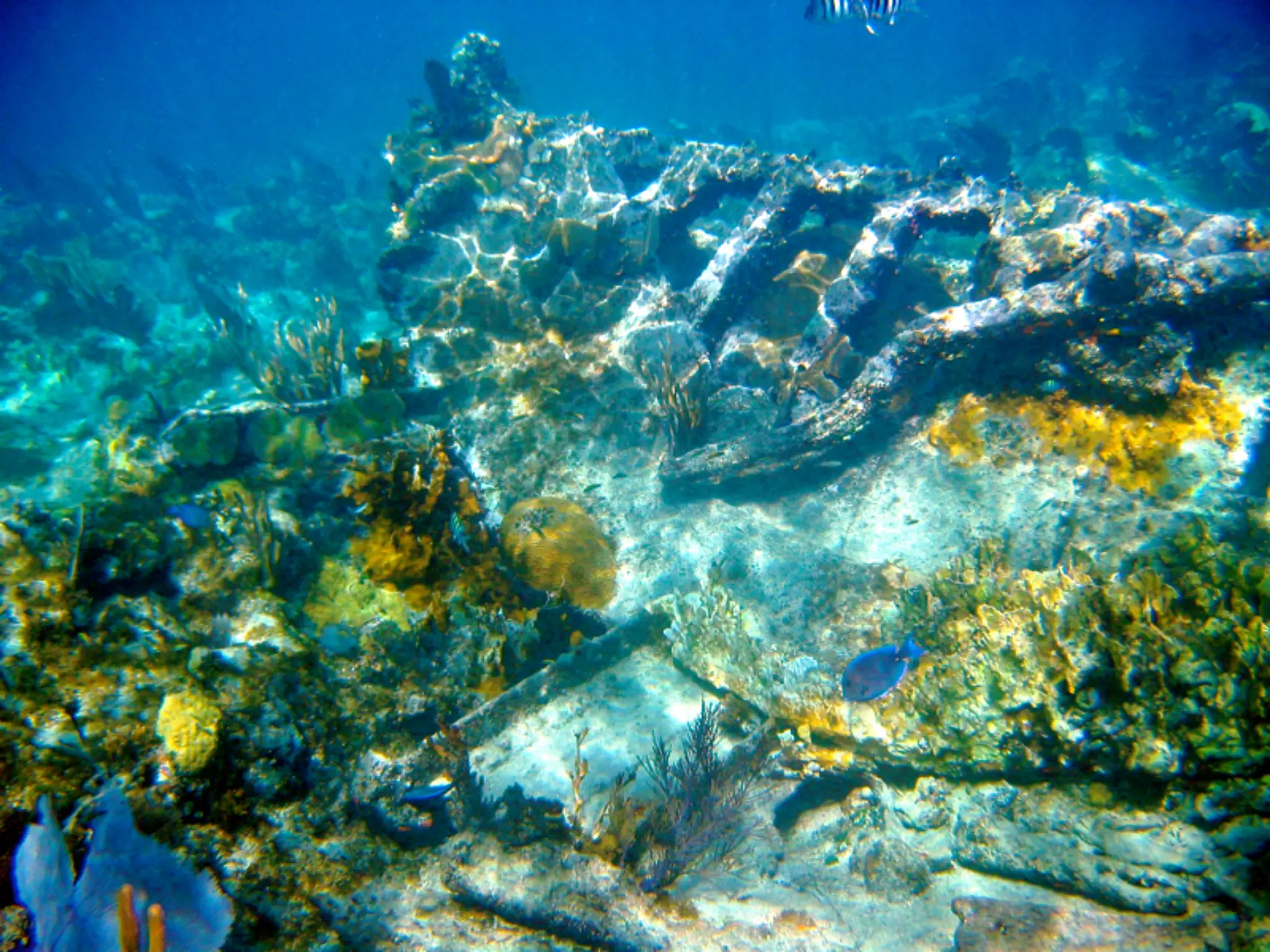 mba570.springsummer09.5