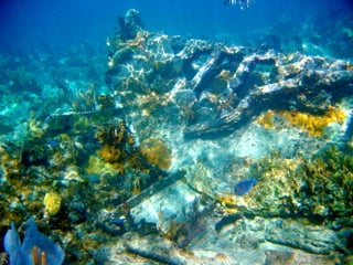 mba570.springsummer09.5