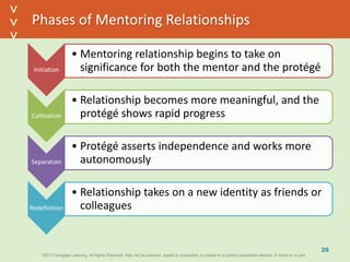 ©2013 Cengage Learning. All Rights Reserved. May not be scanned, copied or duplicated, or posted to a publicly accessible website, in whole or in part.©2013 Cengage Learning. All Rights Reserved. May not be scanned, copied or duplicated, or posted to a publicly accessible website, in whole or in part.
^
^
Phases of Mentoring Relationships
Initiation
• Mentoring relationship begins to take on
significance for both the mentor and the protégé
Cultivation
• Relationship becomes more meaningful, and the
protégé shows rapid progress
Separation
• Protégé asserts independence and works more
autonomously
Redefinition
• Relationship takes on a new identity as friends or
colleagues
28
 