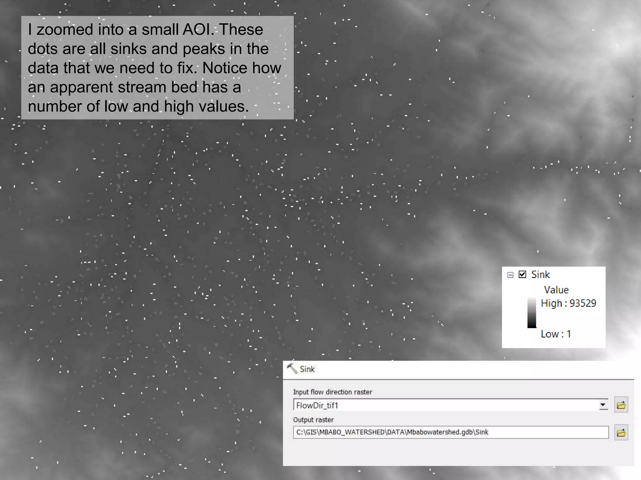 I zoomed into a small AOI. These
dots are all sinks and peaks in the
data that we need to fix. Notice how
an apparent stream bed has a
number of low and high values.
 