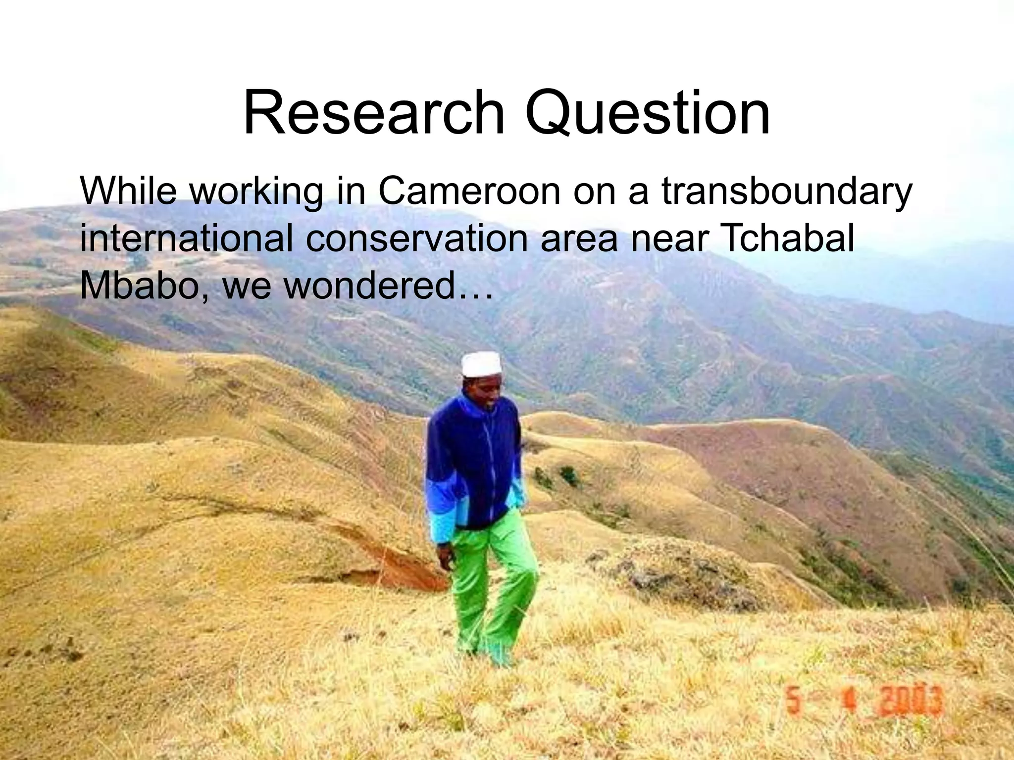 Research Question
While working in Cameroon on a transboundary
international conservation area near Tchabal
Mbabo, we wondered…
 