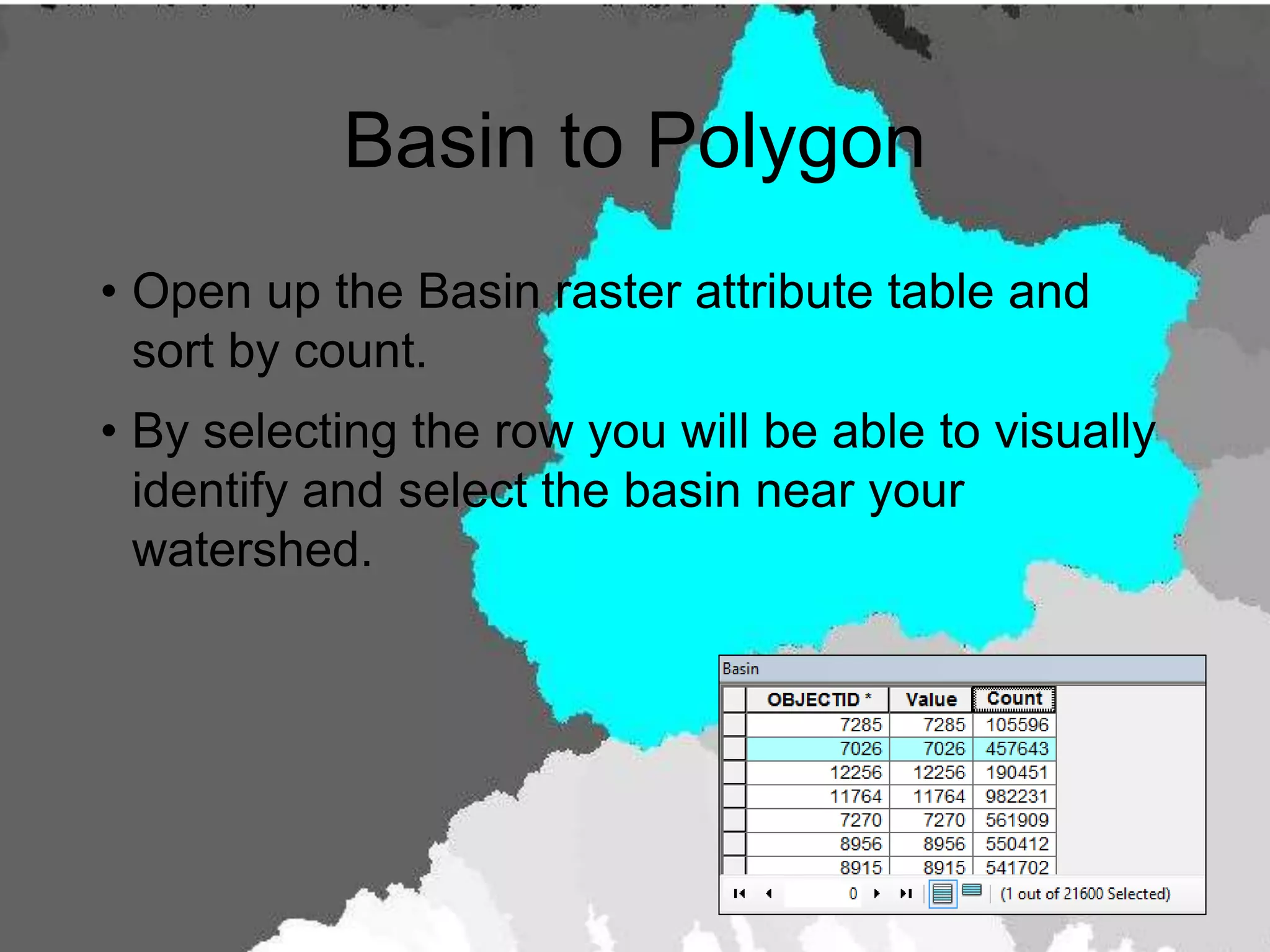 Basin to Polygon
• Open up the Basin raster attribute table and
sort by count.
• By selecting the row you will be able to visually
identify and select the basin near your
watershed.
 