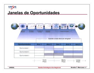 Janelas de Oportunidades




UNISAL        Gestão Estratégica dos Negócios   Nivaldo T. Marcusso   27
 