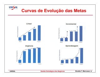 Curvas de Evolução das Metas




UNISAL           Gestão Estratégica dos Negócios   Nivaldo T. Marcusso   50
 