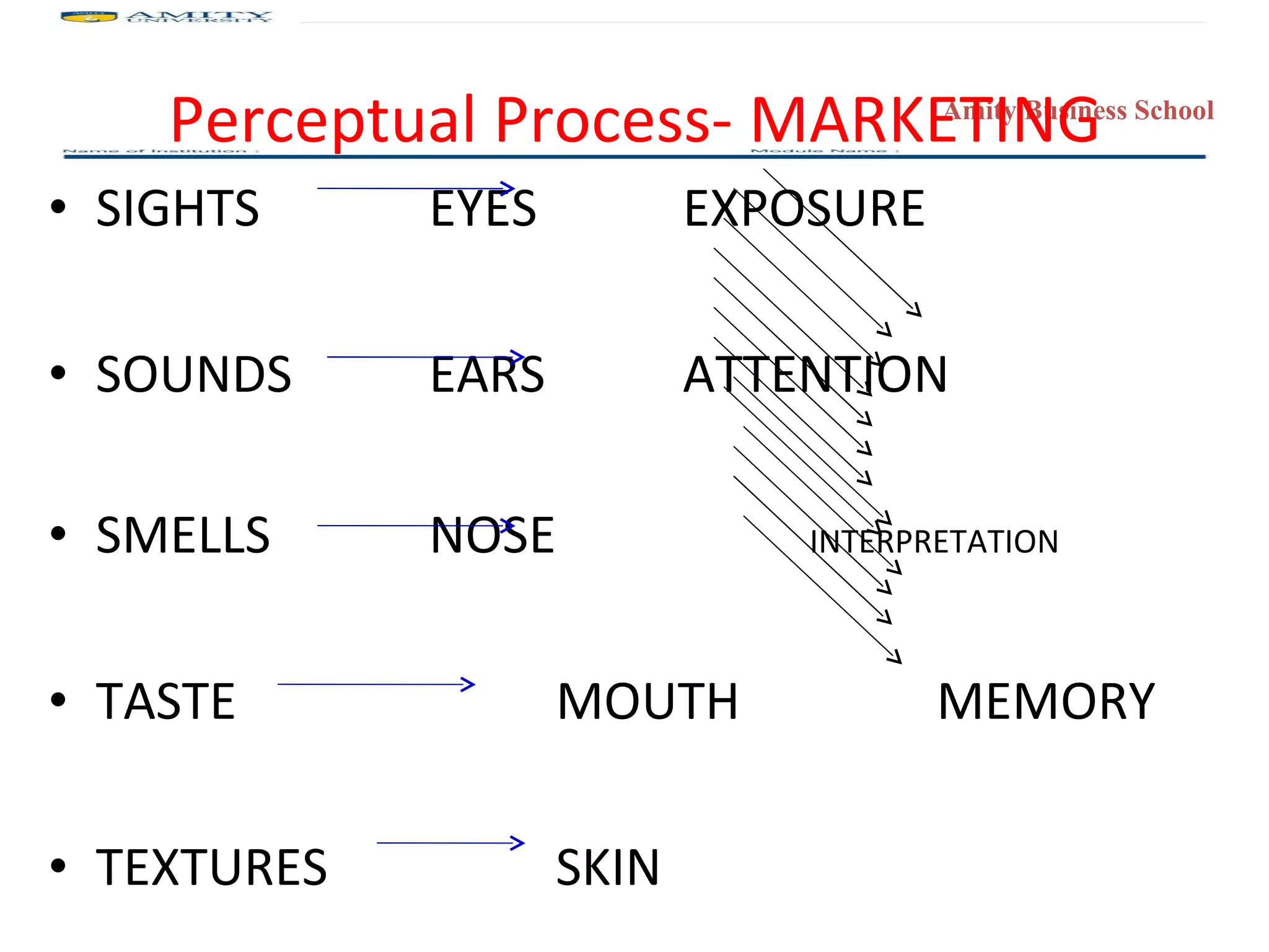 Perceptual Process- MARKETING SIGHTS EYES EXPOSURE SOUNDS EARS ATTENTION SMELLS NOSE INTERPRETATION TASTE MOUTH MEMORY TEXTURES SKIN 