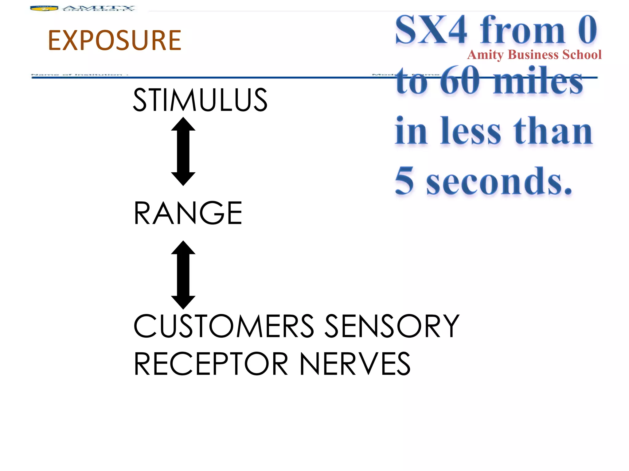 EXPOSURE STIMULUS RANGE  CUSTOMERS SENSORY  RECEPTOR NERVES 