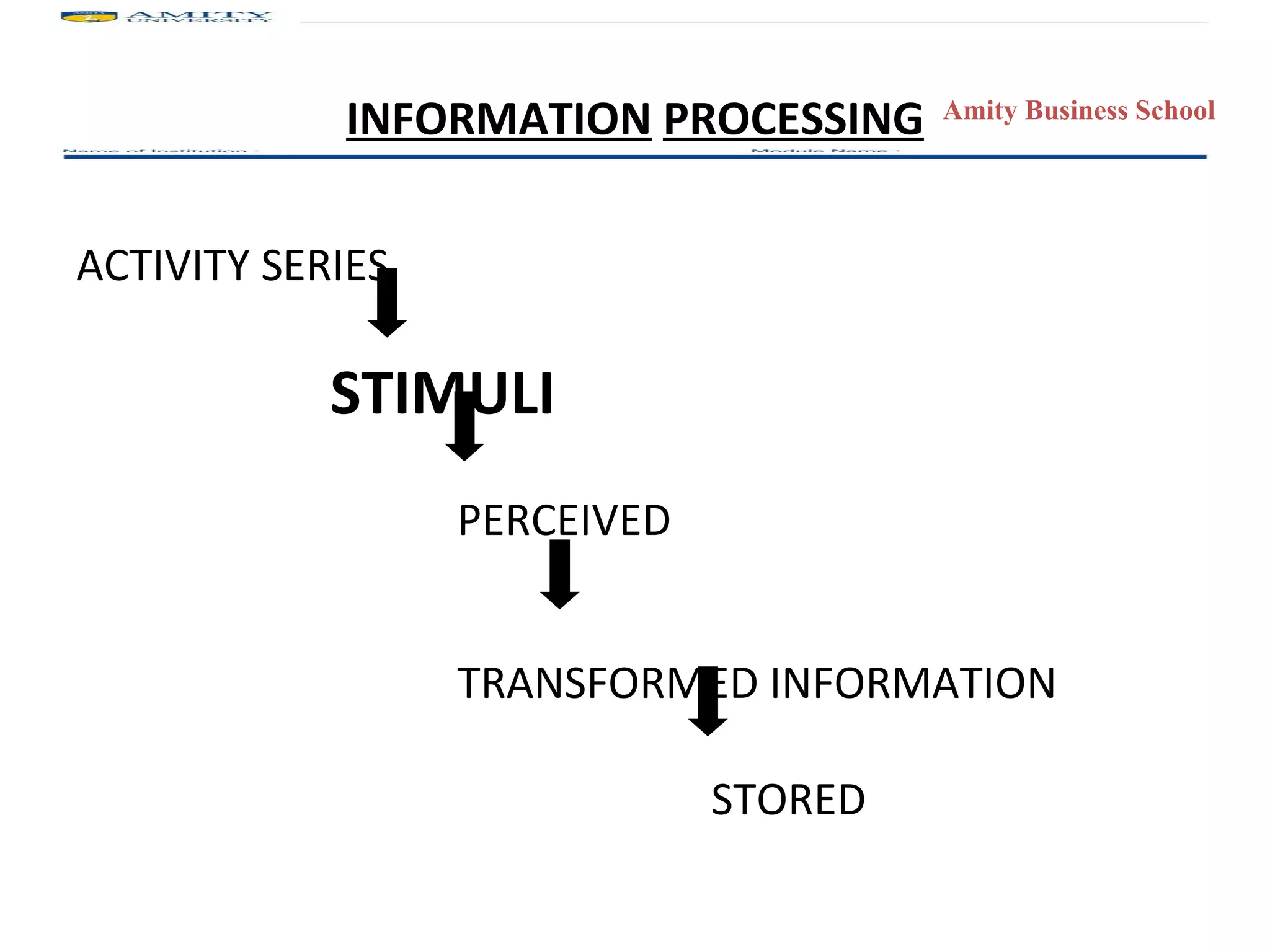 INFORMATION   PROCESSING ACTIVITY SERIES STIMULI PERCEIVED TRANSFORMED INFORMATION STORED 