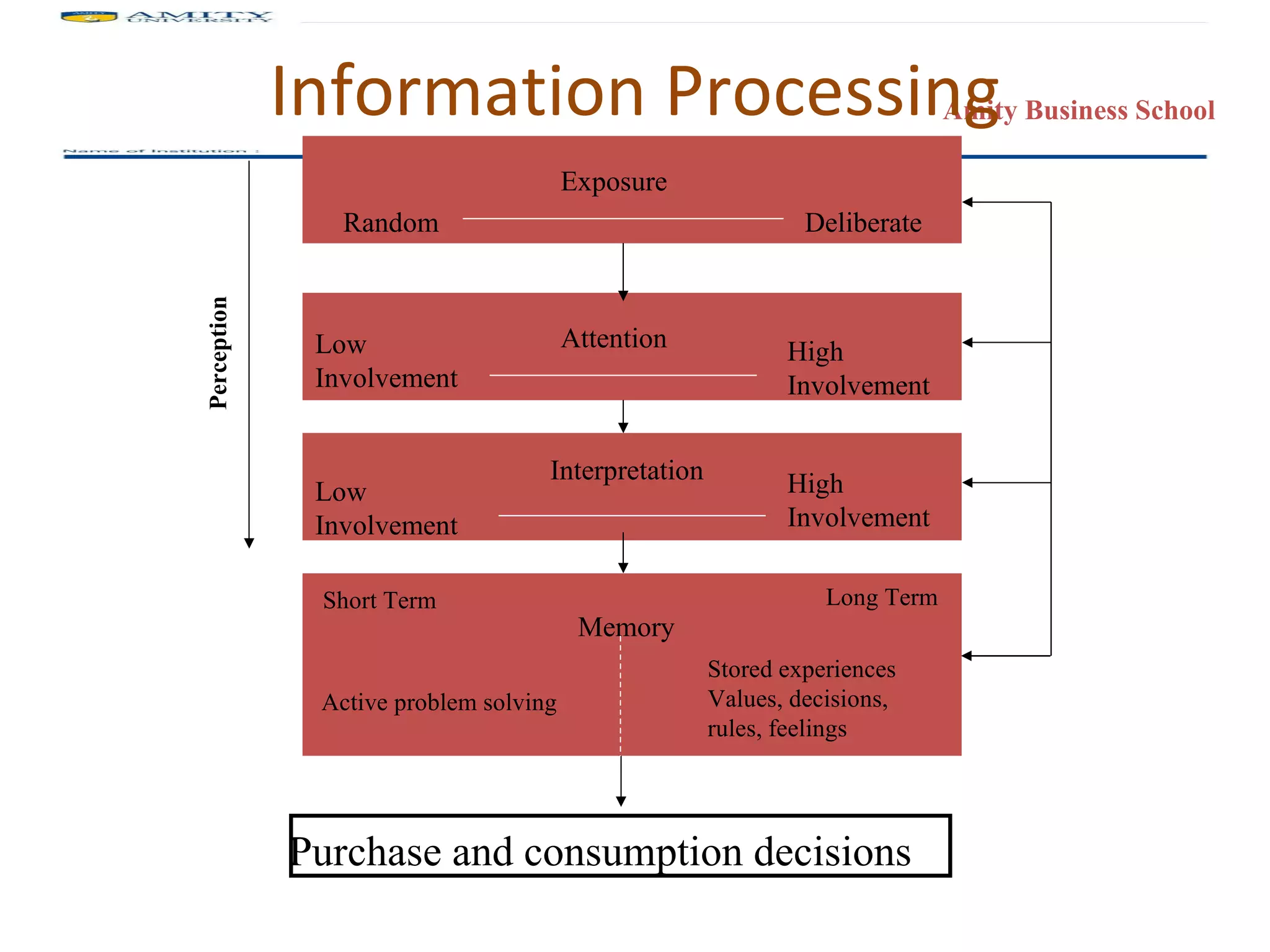 Information Processing Exposure Random Deliberate Attention Low Involvement High Involvement Interpretation Memory Active problem solving Stored experiences Values, decisions, rules, feelings High Involvement Low Involvement Short Term Long Term Perception Purchase and consumption decisions 