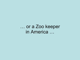 …  or a Zoo keeper in America … 