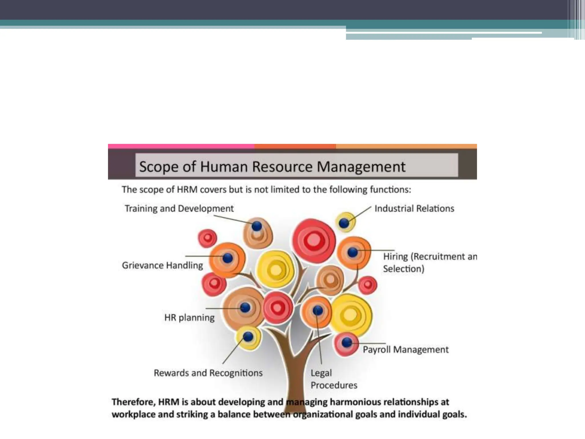 mba HRM ppt.ppt human resource management ppt | PPT