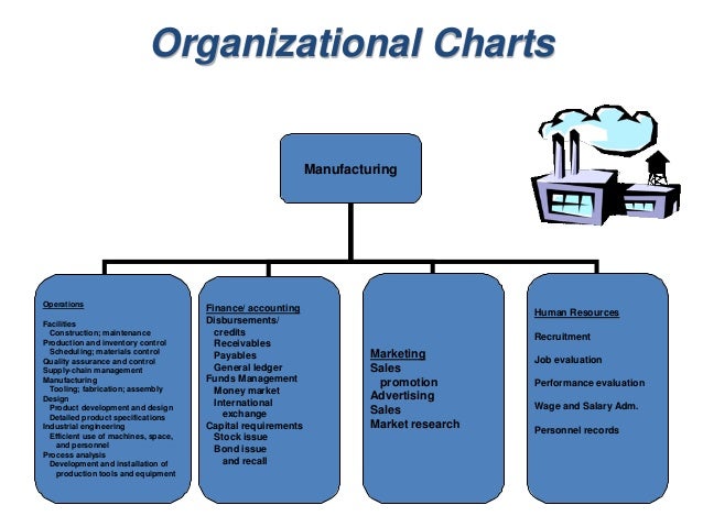 Typical Organizational Chart For Operations Management