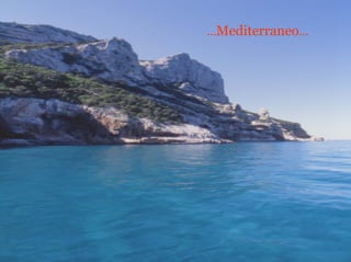 …Mediterraneo…

 